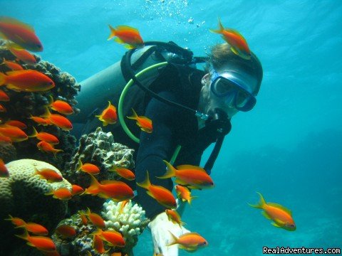 Diving In Dahab | Image #6/6 | 