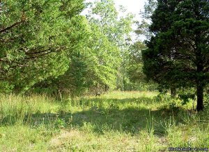 Camping with hunting, ATV's, and horse trails