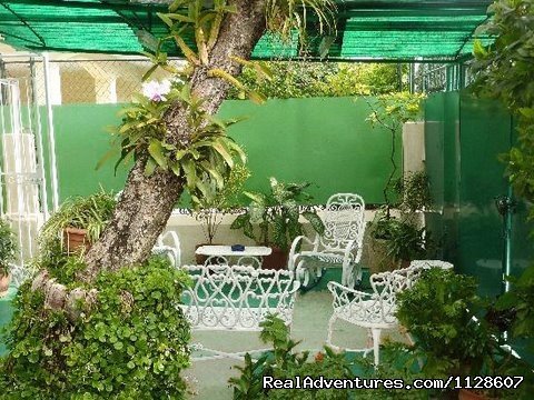 La Casa de Ana B&B garden view | La Casa de Ana,  'Home away from Home' | Havana, Cuba | Bed & Breakfasts | Image #1/10 | 