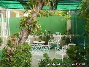 La Casa de Ana,  'Home away from Home' | Havana, Cuba | Bed & Breakfasts