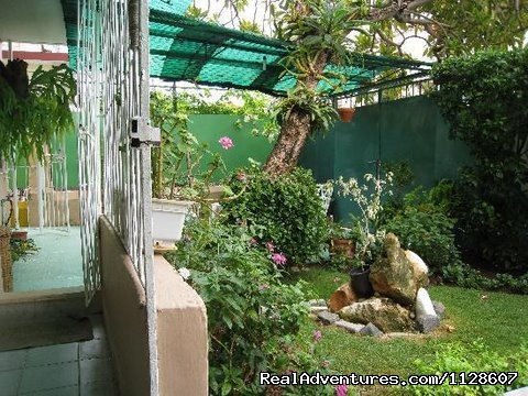 La Casa de Ana B&B garden view | La Casa de Ana,  'Home away from Home' | Image #2/10 | 