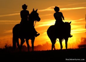 Deep Creek Stables An incredible riding experience