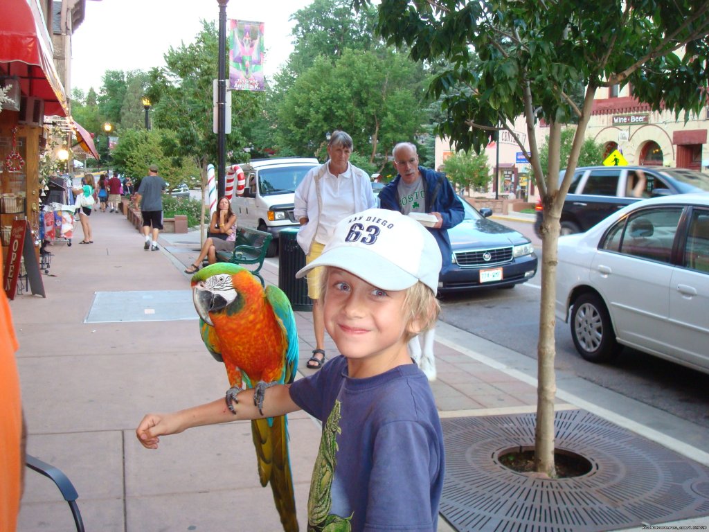 ON THE STREETS OF MANITOU SPRINGS | Pikes Peak Cabin  By Garden Of The Gods | Image #19/22 | 