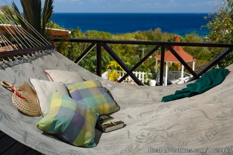 Hammock with a view