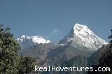 Trekking in Nepal | Kathmandu, Nepal | Bed & Breakfasts