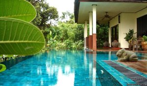 GECKO VILLA - unique experiences of NE Thailand