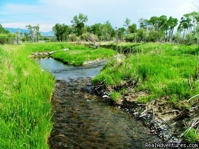 Several miles of a Private Spring Creek | Riverfront Cabins on a Private 1400 acre ranch | Image #15/19 | 