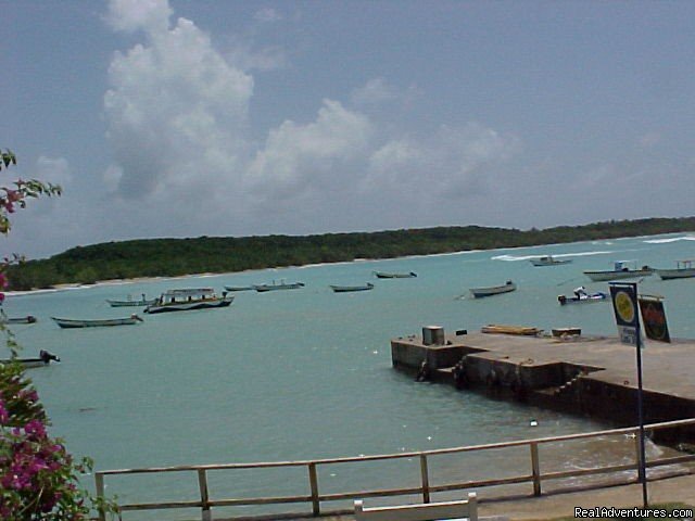 Sea View | Miller's Guesthouse Tobago W.i | Image #6/6 | 