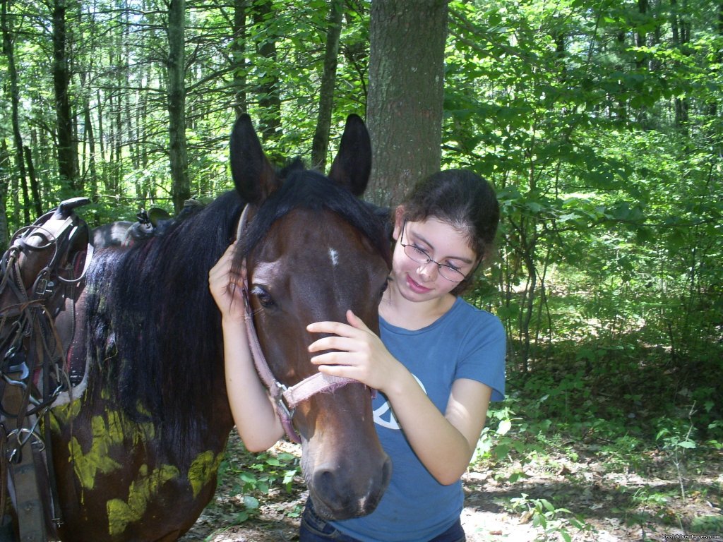 Gentle,well-trained Horses-horseback Adventures | Image #6/14 | 