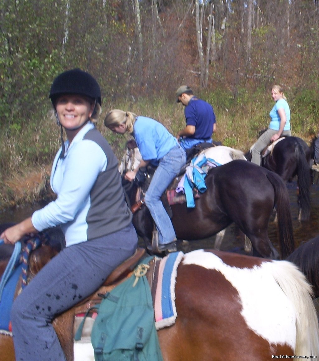 Gentle,well-trained Horses-horseback Adventures | Image #9/14 | 