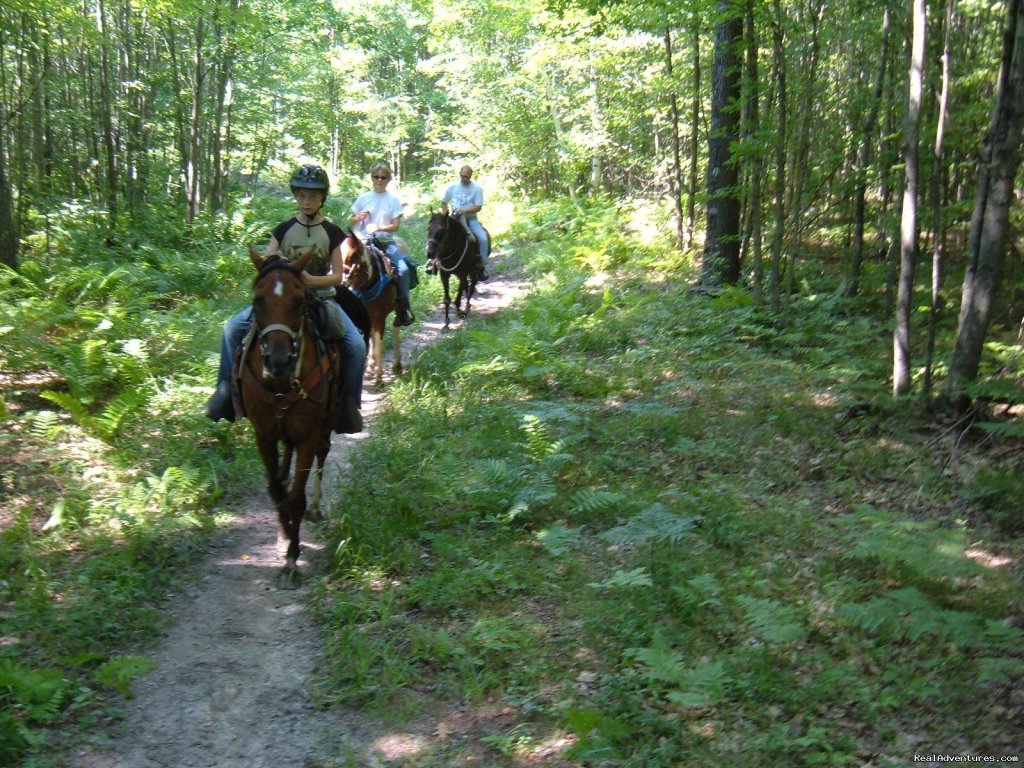 Gentle,well-trained Horses-horseback Adventures | Image #12/14 | 