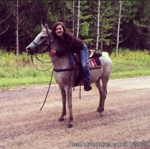 Gentle,well-trained Horses-horseback Adventures