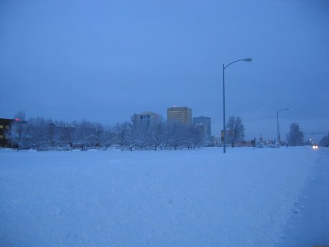 Google City Garden Alaska for reviews.