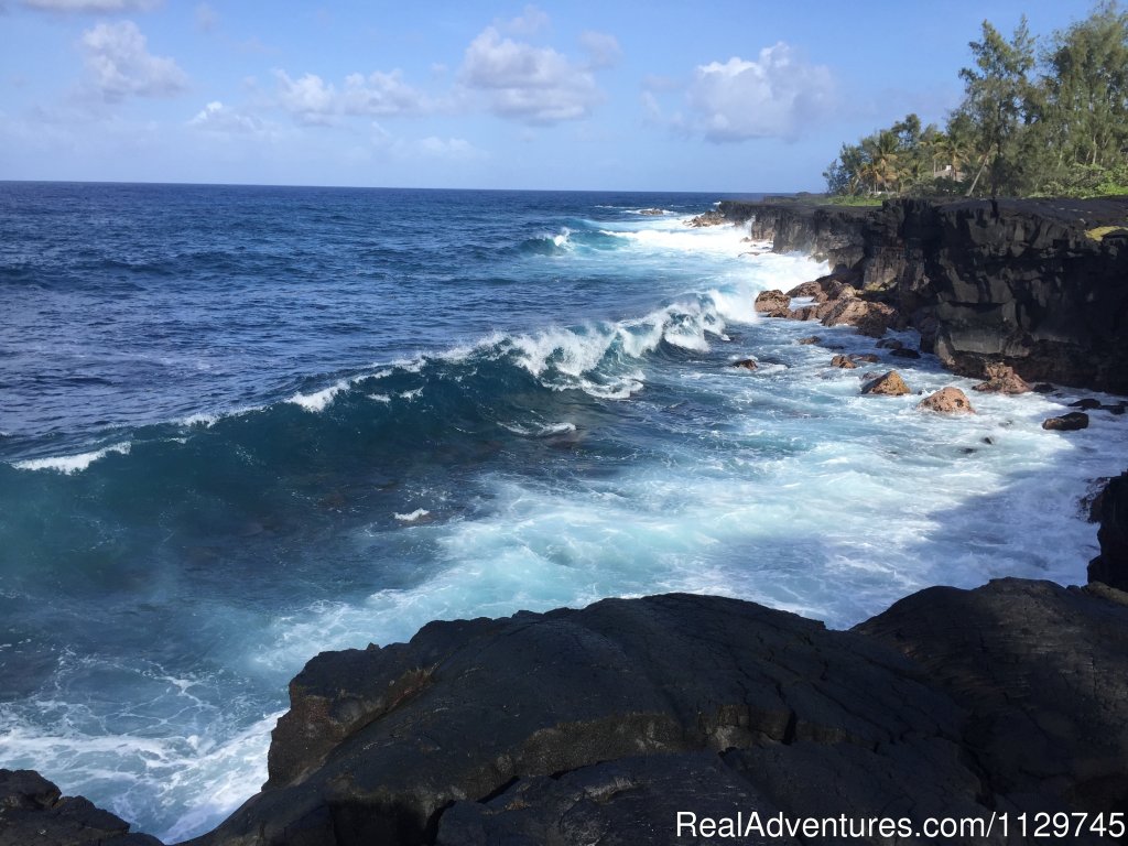 The Puna Coastline near the Alohahouse | Big Island Hawaii Vacation Homes at a Great Price | Image #20/26 | 