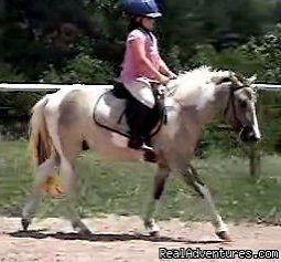 Overnight Horse Accomodations, Lessons, Trail Ride | Dobson, NC, North Carolina Horseback Riding & Dude Ranches | Great Vacations & Exciting Destinations