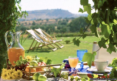 Picnics in the shade, or lunches on the shore... | Blue Coast Bikes Luxury Bike Tours in Portugal | Image #3/17 | 