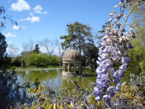 Portuguese Villa Lodgings | Blue Coast Bikes Luxury Bike Tours in Portugal | Image #13/17 | 