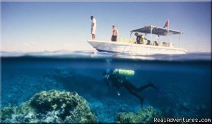 Via Jordan Travel | Aqaba, Jordan | Sight-Seeing Tours