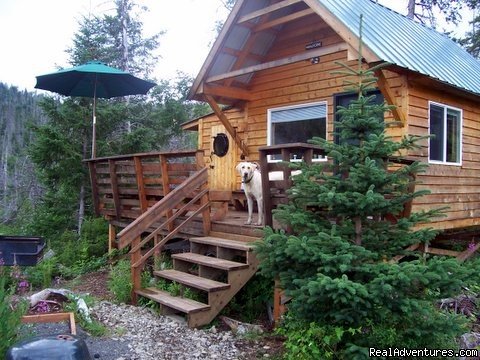 Tidepool Cabin