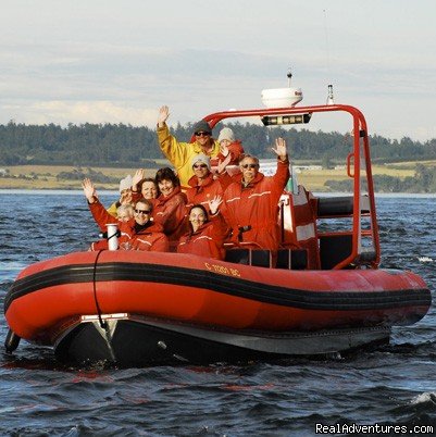 West Coast Wildlife Adventures | Vancouver Island Marine Wildlife Adventures | Sooke, British Columbia  | Sight-Seeing Tours | Image #1/1 | 