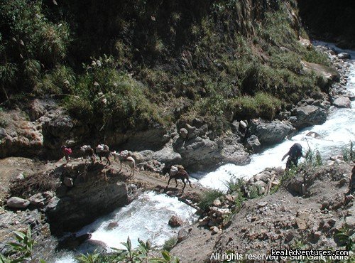 Crossing a rustic bridge on Salcantay Trek | Sun Gate Tours | Image #5/6 | 