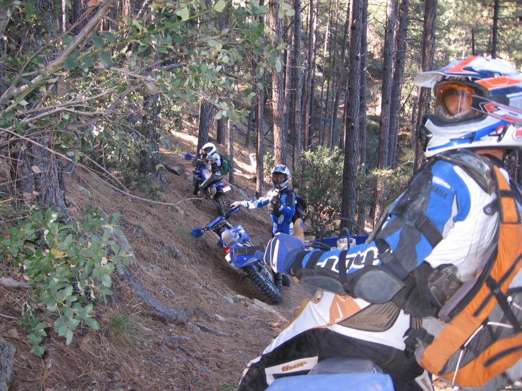 Arizona | Motoventures Dirt Bike Training, Rides And Trials | Image #5/22 | 