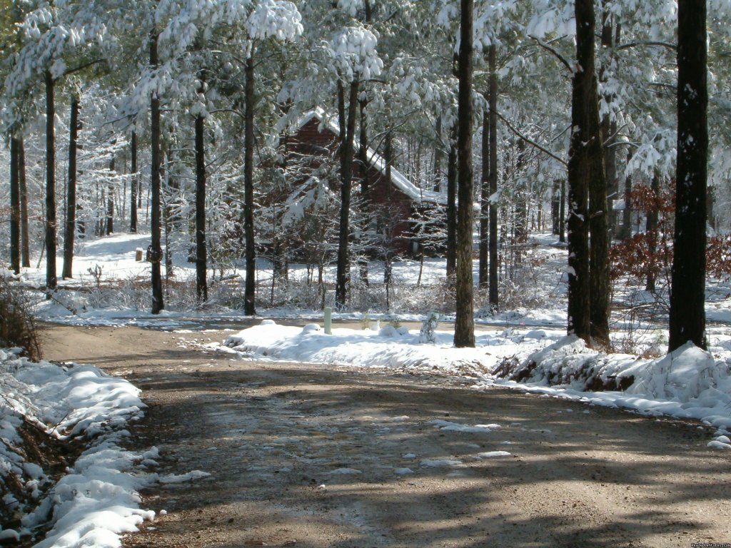 Lucky Star Cabin | Five Star Cabins (A Mountain Getaway) | Image #12/12 | 