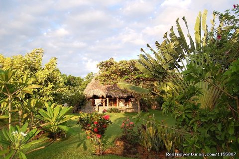 Chalet 1 and its tropical corner