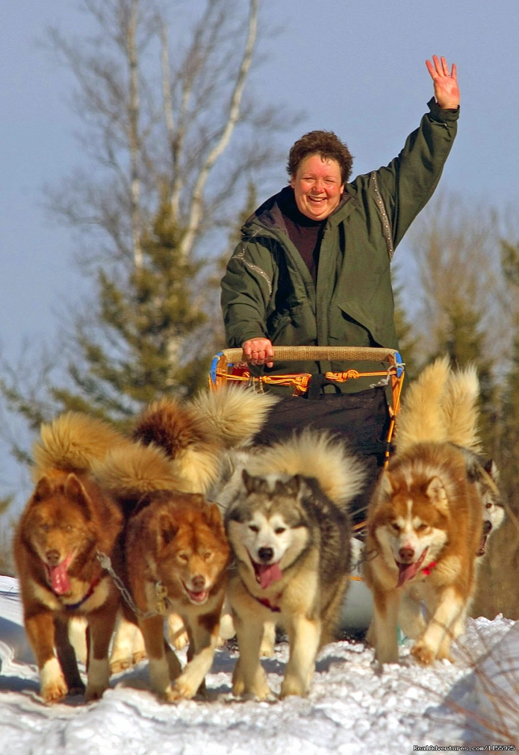 The Joy of Sledding! | Dog Sledding Vacations & Dog Mushing Tours | Image #2/9 | 