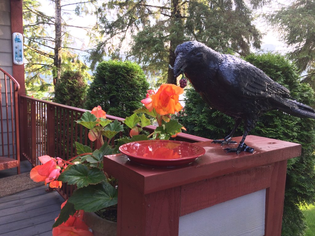 Black Bear Viewing Deck | Ketchikan's Finest Waterfront Vacation Rentals | Image #8/11 | 