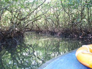 A Village Resort In The Andaman Islands