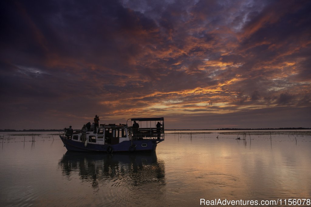 Mar..one of our boat | Eco Tours-birdwatching | tulcea, Romania | Eco Tours | Image #1/23 | 