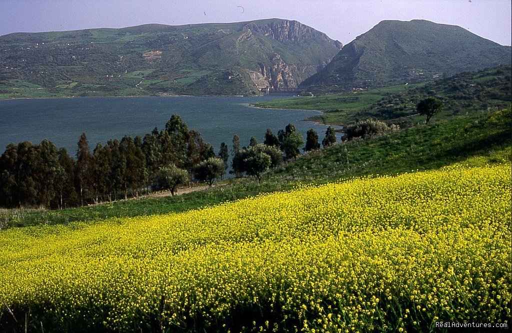 our countryside | Holiday Houses Caccamo | Image #5/7 | 