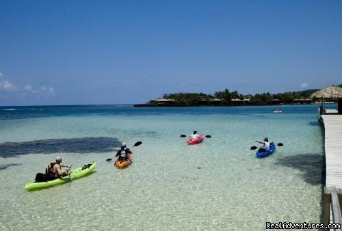 Paradise in Roatan - Diving Adventure | Image #14/15 | 