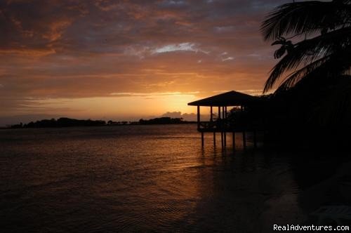 Paradise in Roatan - Diving Adventure | Image #15/15 | 