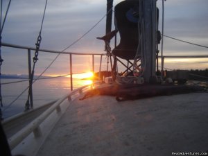 British Columbia coastal wilderness