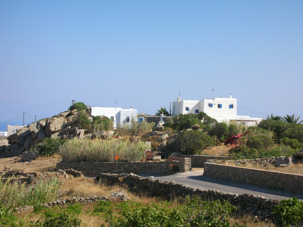 Honeymoon In Mykonos, Greece | Image #2/24 | 