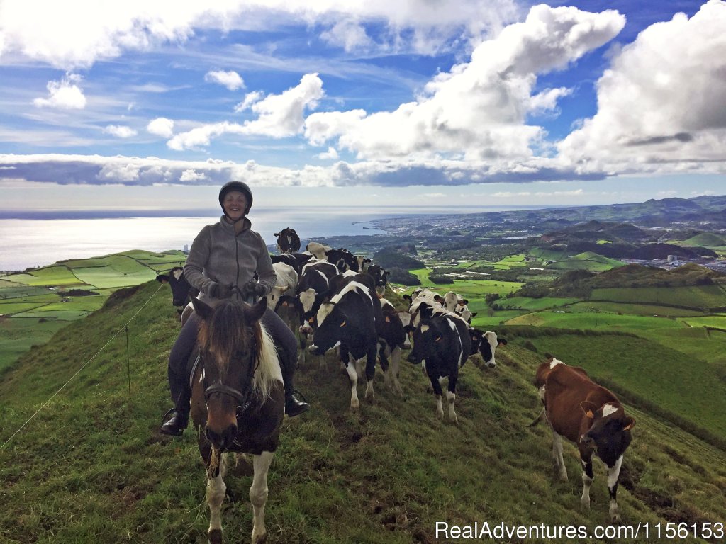 Fun | Unforgettable riding weeks at Quinta da Terca | Image #10/17 | 