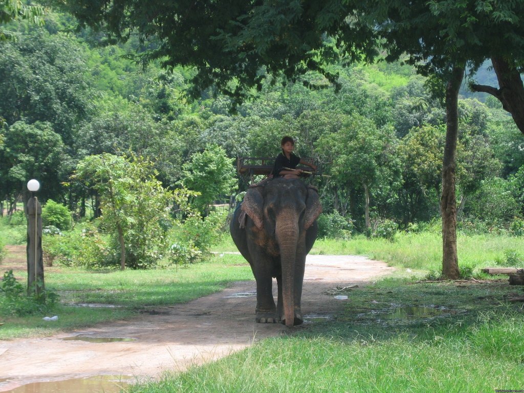 Traveling in Thailand | Image #9/19 | 