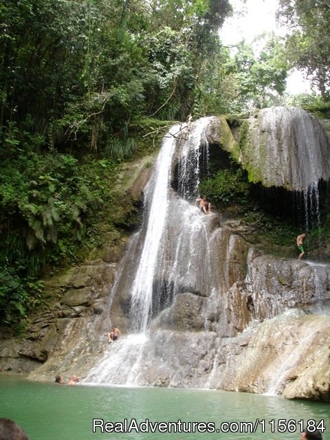 Largest Affordable Rentals Rincon Puerto Rico | Image #10/14 | 