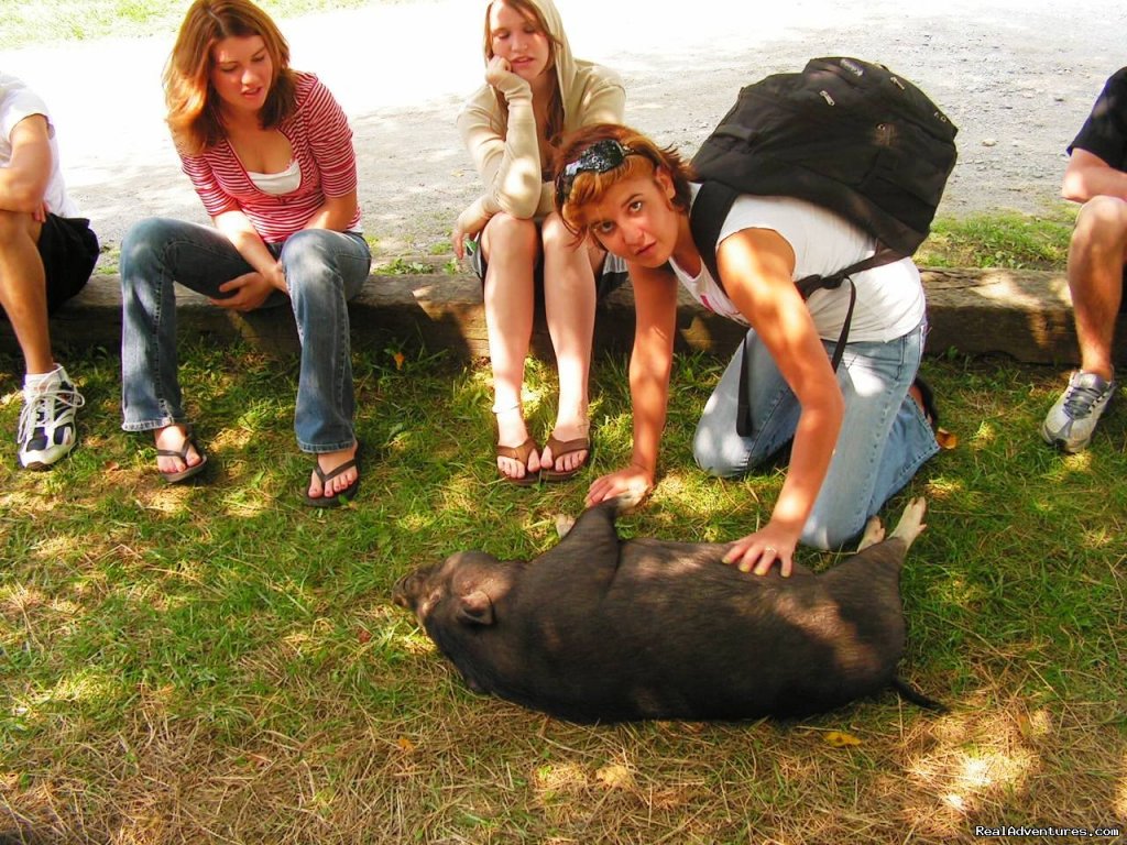 Petunia getting some love! | Have a New River Adventure at RiverGirl Fishing Co | Image #13/17 | 