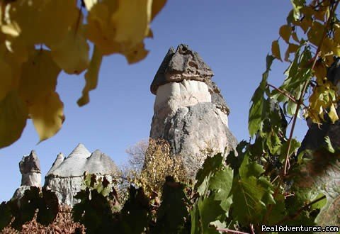 Cappadocia Tours From Istanbul | Image #8/20 | 