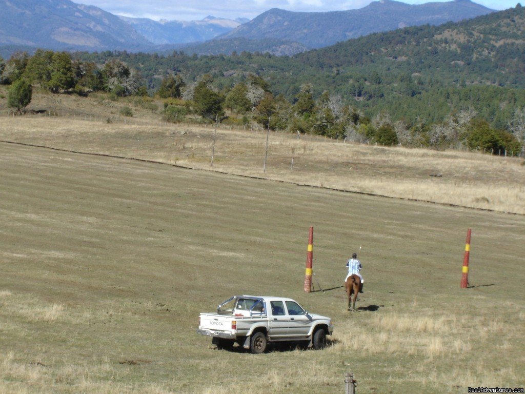 Patagonia Polo | Horse riding holidays in Patagonia | Image #5/5 | 