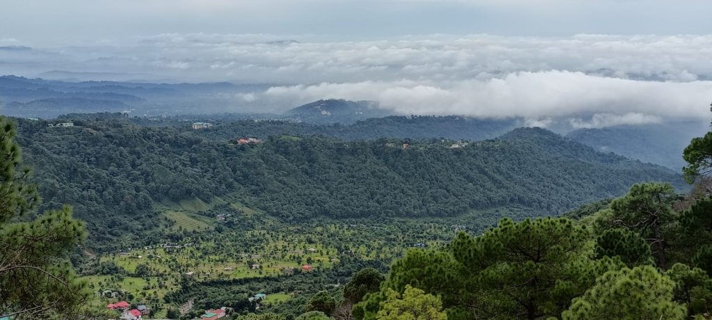 Hotel Snow Crest Inn Dharamsala | Image #4/10 | 