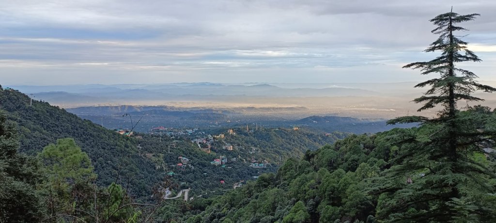 Hotel Snow Crest Inn Dharamsala | Image #5/10 | 