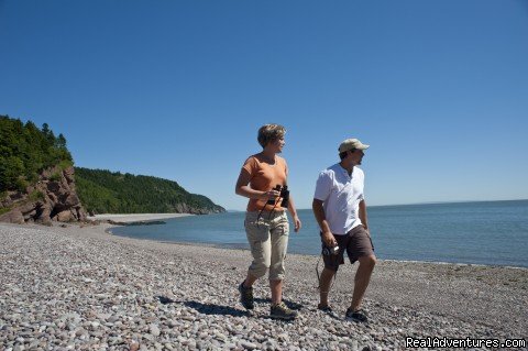 Melvin Beach stroll | Fundy Trail  | Image #3/6 | 