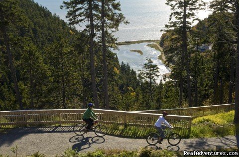 View from Parking Lot # 9 | Fundy Trail  | Image #6/6 | 