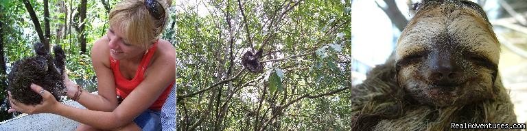 Mamori,Juma.Jurara | Brazil  Travel Jungle Trek Expedition JaÃš Park | Manaus, Brazil | Eco Tours | Image #1/8 | 