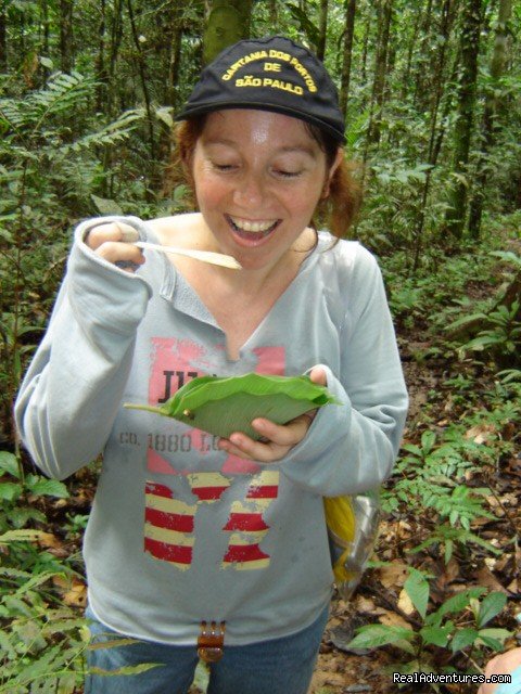 Brazil  Travel Jungle Trek Expedition JaÃš Park | Image #5/8 | 