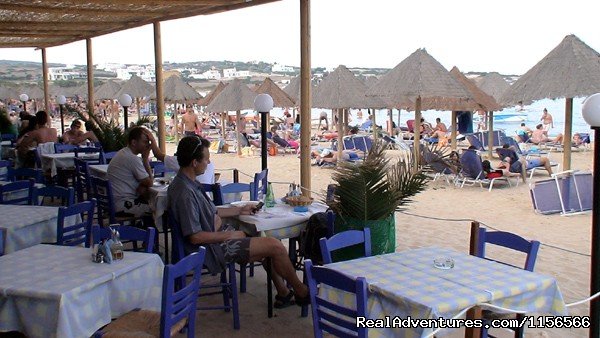 Restaurant | Camping Surfing Beach | Image #10/16 | 